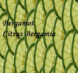 Huile essentielle de bergamote pure - Product Image 4