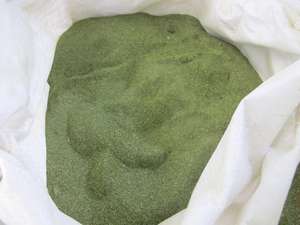 Poudre d'extrait d'algues vertes pour aliments pour bétail et engrais //(Ms. Vacances) - Product Image 5