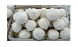 Coco fresco de Vietnam, gran calidad - Product Image 4