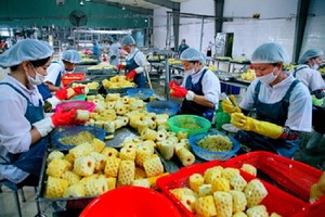 Coupe-tranches d'ananas en boîte légère, 1 pièce, 2020 - Product Image 4