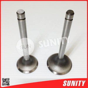 Price Widely Garden Machine Engine Single Cylinder High Pressure <b>Valve</b> <b>Parts</b> - Product Image 3