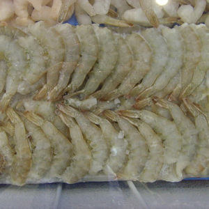 Camarón crudo congelado Iqf de fabricación de fábrica de alta calidad - Product Image 1