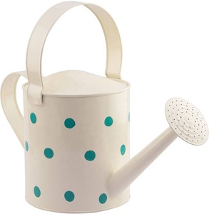 Quantité minimale de commande bas métal galvanisé plante d'intérieur personnalisé arrosoir fournisseur en gros vente directe d'usine - Product Image 1