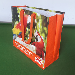 Bolsas de Compras de Polipropileno Tejido, Bolsas de Belleza, Construcción con Ribete en U, Color Personalizado, Asa de Cinta de Polipropileno - Product Image 3