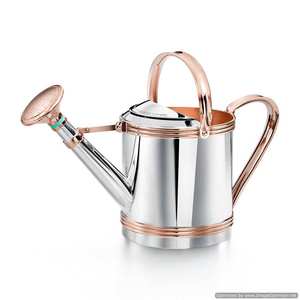 Caña DE AGUA DE Metal pulido con espejo brillante moderno, caña de agua para plantas caseras para artículos de jardín, caña de agua, caña de agua de plata y cobre - Product Image 1