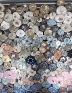 Made In Korea tessuto per camiceria In cotone più venduto/tessuto con stampa In cotone/tessuto In cotone organico tessuto di alta qualità robusto - Product Image 6