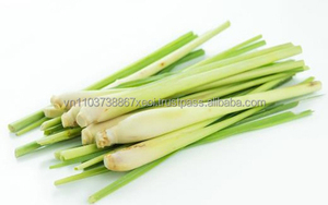 ผงหญ้าเลมอนจากธรรมชาติผลิตภัณฑ์คุณภาพสูงจากเวียดนาม - Product Image 6