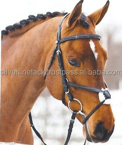 Brida Grackle ostentosa. - Product Image 4