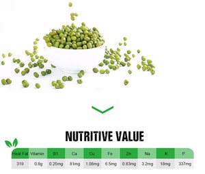 Vigna radiata-Éthiopie Haricots mungo vert - Product Image 5