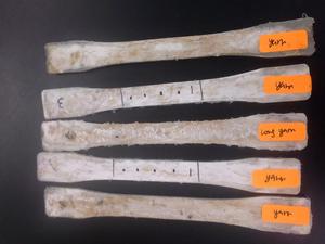 เส้นใยกล้วยธรรมชาติเหมาะสำหรับร้านค้าเส้นด้ายและไฟเบอร์และสำหรับโครงการโรงเรียนและวิทยาลัย - Product Image 6