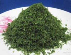 Poudre d'extrait d'algues vertes pour aliments pour bétail et engrais //(Ms. Vacances) - Product Image 3