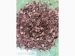 NŒUD DE CAJOU HUSK STANDARD EXPORTATION MEILLEURE QUALITÉ 10% HUMIDITÉ 0-10mm TAILLE GIA GIA NGUYEN MARQUE pour TANNING DYE BON PRIX VIETNAM TEL - Product Image 2