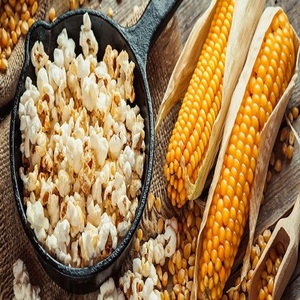 butterfly popcorn-butterfly popcorn manufacturers, suppliers and