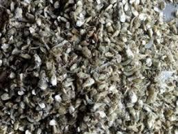Cabeza de anchoa seca de VIETNAM, para harina de pescado, vacaciones, MS. - Product Image 6
