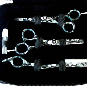 Salon Usage Professional Hair Salon Scissors | Hairdressing Tools and Equipment - Product Image 1