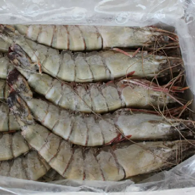 Высококачественные свежие креветки vanamei и черные тигровые креветки из Вьетнама