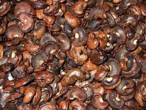 Residuo de Cáscara de Anacardo / Cáscara de Anacardo / Mejor Precio - Product Image 5