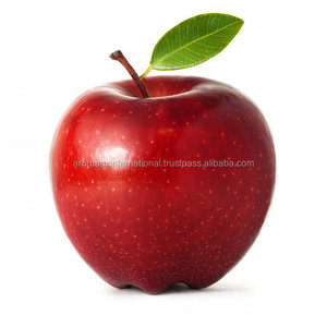 Fabricants indiens ou fournisseurs d'huile de graines de pomme - Product Image 6