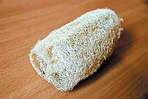 ใยบวบธรรมชาติเวียดนามมาตรฐานส่งออก/ ฮอลิเดย์ 84845639639 - Product Image 3