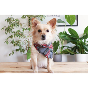 Pañuelos navideños con diseño elegante para perros, accesorios de ropa para mascotas al mejor precio del fabricante mayorista para todas las ocasiones - Product Image 3