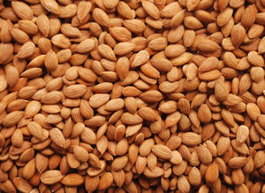 Kaloût — kératine d'abricot de la meilleure qualité, 0.5cm :5% max - Product Image 3