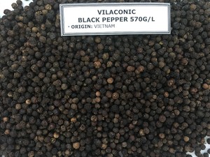 [Keith Vilaconic] พริกไทยดำเวียดนามความหนาแน่นสูง 570 กรัม/ลิตร ASTA - เม็ดพริกไทยคุณภาพเยี่ยม - พรีเมียมสำหรับส่งออกต่างประเทศ - Product Image 6