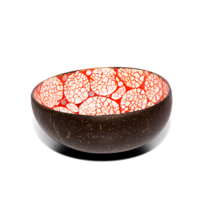 Tazón de coco natural Solución ecológica para comidas orgánicas Platos veganos y vida saludable - Product Image 3