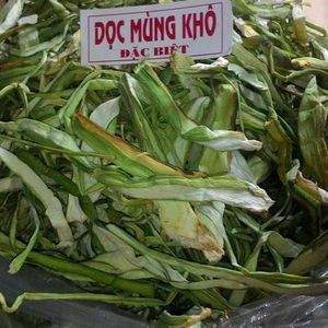 COLOCASIA ESCULENTA cuerpo 2020 - Product Image 2
