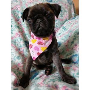 Luxury Solid Red Colorful Printed Cotton <b>Dog</b> Bandanas for <b>Dogs</b>-Comfortable Holiday Pet Outwear - Product Image 3