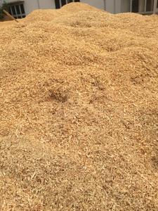 VIETNAM PINE WOOD SHAVINGS for HORSE BEDDING COMPRESSED <b>BLOCK</b> W: +84973101511 - Product Image 4