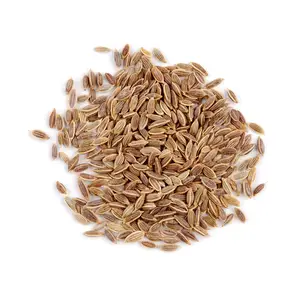 Dill Seed Essential Oil Price In India Pure Essential Oil Manufacturer in India for Making Skin and hair Care Serum