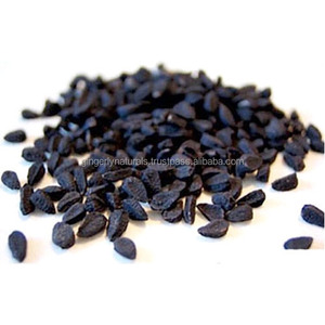 Nigella Sativa ผลไม้สำหรับผมนุ่มและเนียน - Product Image 3