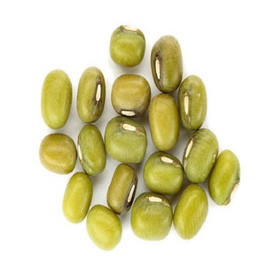 Haba Moong / Mung de calidad superior de la India con alto contenido de proteínas y nutrientes. Gramo mungo de calidad exportado - Product Image 1