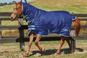 Couverture d'hiver 250 grammes avec tissu 1200 deniers, doublure en coton, rembourrage en polyester et col amovible - Product Image 4