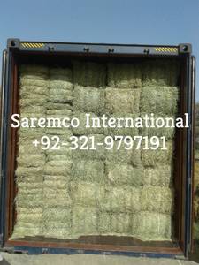 Alta Proteína Rhodes Grass Hay Paquistão Animais Animais De Estimação Vaca Ovelha Cavalo Cabra Porco Cão Comida De Peixe Estilo Seco Sacos Embalados Preços baixos - Product Image 6