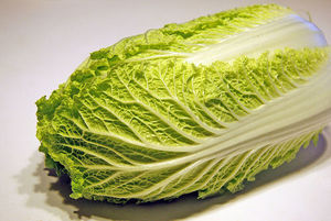 Repollo Kimchi al por mayor - Product Image 6