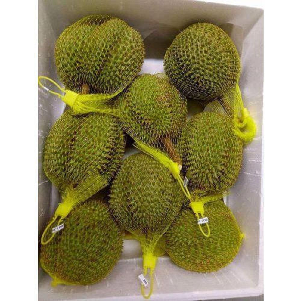 Fresh Monthong Durian Golden Pillow
