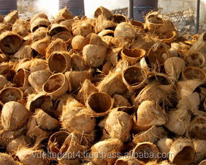 Fabricant du Vietnam Coquille de noix de coco séchées brutes/Coquille de noix de coco cassée pour la production de charbon de bois au Vietnam / Lima - Product Image 2