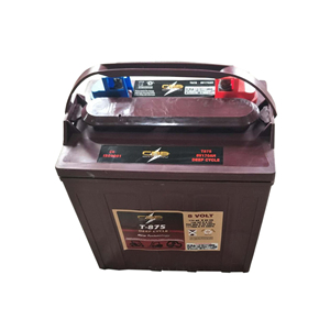 8V 170AhT875ゴルフカート用トロイの木馬バッテリーディープサイクルバッテリーを交換 - Product Image 1