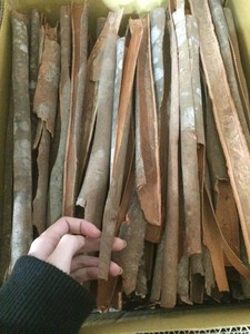 Bâton de gymnastique, vente en gros, épices du Vietnam, haute qualité, respectueux de la nature, 500 pièces - Product Image 2