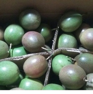 เสาวรส PRICE_FRESH แข่งขัน _ 2024คุณภาพสูง - Product Image 2