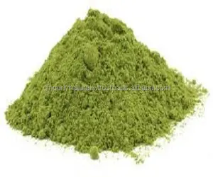 Fornitore di polvere di Moringa pura al 100% dall'india