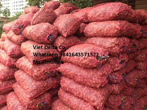 ราคาต่อตันของขิงสดจากเวียดนาม - Product Image 4