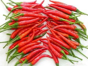 Pimiento de pimienta congelados, mejor precio, de VIETNAM, vacaciones - Product Image 2