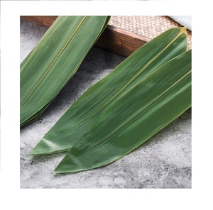 Feuilles de bambou séchées de haute qualité en provenance du Vietnam, longueur 25-30 cm, meilleur prix - Product Image 1