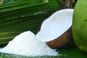 มะพร้าวอบแห้งไขมันต่ำ/มะพร้าวอบแห้งเกรดละเอียดไขมันต่ำ - Product Image 6