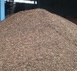 Venta al por mayor de cáscara (PKS)/de cáscara de coco/palmiste Shell carbón - Product Image 1