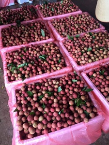 ลิ้นจี่สด/ลิ้นจี่ในน้ําเชื่อม/น้ําลิ้นจี่เข้มข้น- ผู้ค้าส่งจากเวียดนาม - Product Image 5