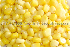 Granos de Maíz Congelados/Granos de Maíz Deshidratados - Product Image 3