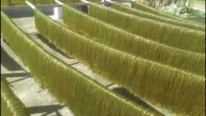 ก๋วยเตี๋ยวมะรุม - Product Image 3